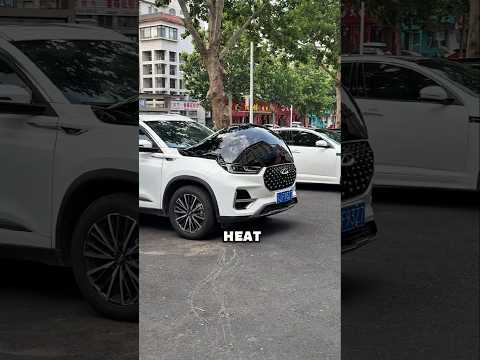 Donโt Pop This Car Bubble! ๐ฑ #shorts