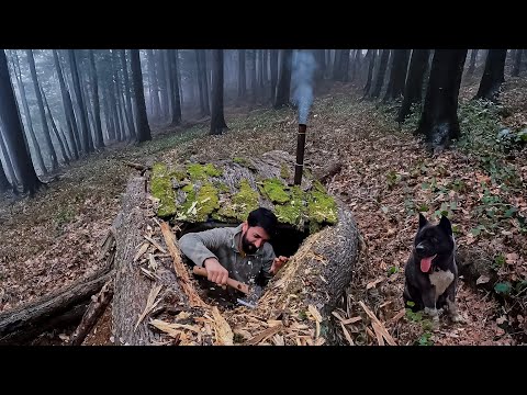 3 Days SOLO SURVIVAL CAMPING In RAIN; Building SECRET DUGOUT Inside  Fallen TREE. Bushcraft Shelters