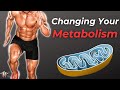 Zone 2 Training and Its Benefits