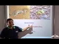 Carbon Cycle and Its Processes