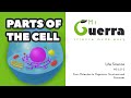 Cell Structure and Function Concepts