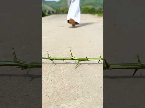 Kindness… Misunderstood 😳