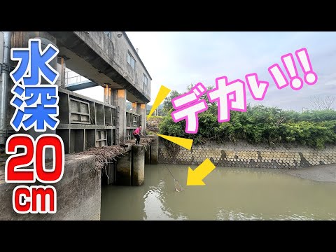 水門前のこんな所で意外な釣り方発見した‼️