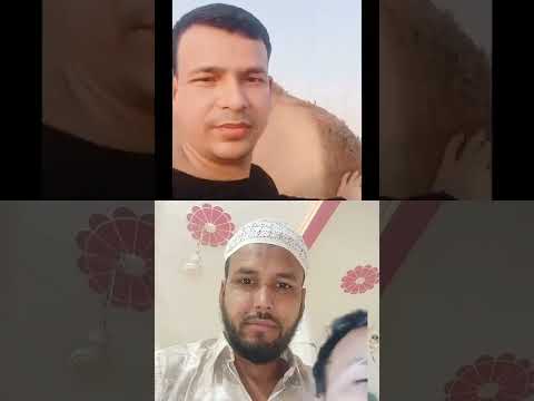 অনেক সুন্দর উটগুলো