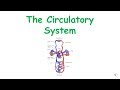 Circulatory System Concepts and Techniques