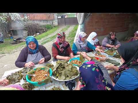 Bir düğün klasiği bütün köy toplandı yaprak sarması yapıyoruz