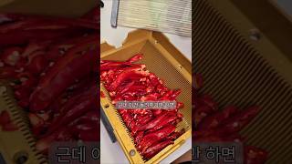 내 손목 지켜~ 채소 손질 10초컷 꿀템 2가지!