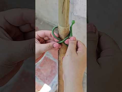 Cách cột dây siêu chắc áp dụng phổ biến trong đời sống #chiase #coemthovuon #funny #knot #giadung