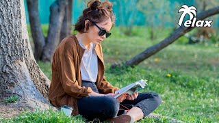 Soothe Your Mind With CALMING Spring Nature Sounds