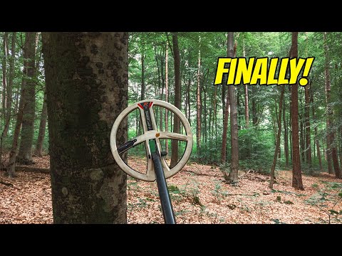 Proper Relic Hunt with Great Finds From a “Hunted Out” Forest!