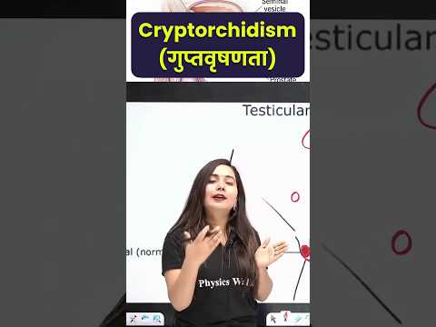 Human Reproductive System | Cryptorchidism #ShortsFeed #ReproductiveSystem #Science #PW