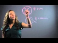 Segment Lengths and Angles in Circles