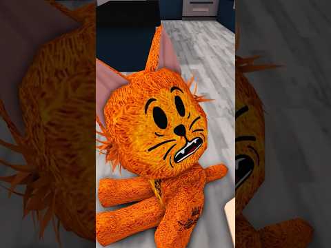 Сигма кот отомстил хозяйке