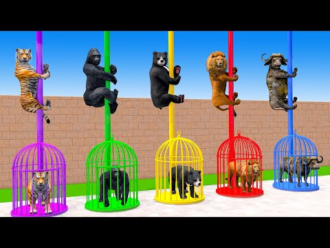 Long Slide Game With Elephant Gorilla Buffalo Hippopotamus Tiger - 3d Animal Game - Funny 3d Animals