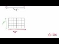 Understanding Rectangles and Their Properties