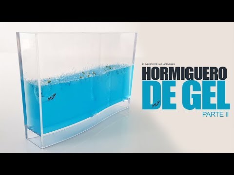 EL HORMIGUERO DE GEL | Segunda Parte