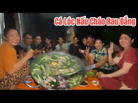 Biểu tiệc hoành tráng Cá Lóc nấu cháo rau đắng vừa cắm câu dính được