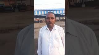 Sunflower 🌻 Production review by farmer opening