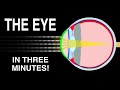 Understanding the Eye: Structure and Function