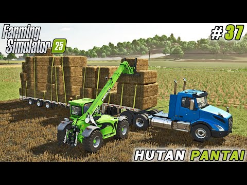 Massive Farm Upgrade – New Cowshed & Efficient Straw Collection | FS 25 | Hutan Pantai Farm | ep #37