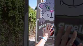 O labirinto dos gatos fedidos 🐱💨 Parte 5
