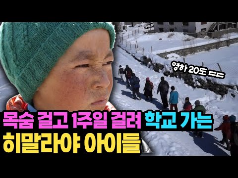 손주를 학교 보내기 위해 얼음물을 가로지르는 할아버지ㅠㅠ 가난의 대물림을 피하기 위해 목숨 걸고 학교가는 히말라야 아이들ㅣKBS 220219 방송