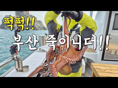 [다리tv] 와~ 부산 죽이네요!!! 괴물 뜯고 왔습니다..ㅋ