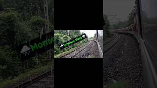 Monsoon Vibes 🌧️ Green Ocean || #Monsoon2026 #viralvideo #shorts #ytshorts