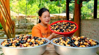 "Harvesting Phoenix Eye Seeds - Simple Processing At Home To Bring To The Market To Sell".