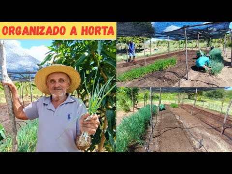 Organizado a Horta Vejam Só Onde Tava Alagado Agora Da pra Plantar Novamente +Plantando Nossa Horta🏡