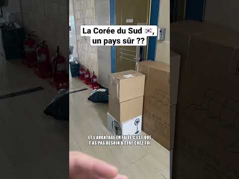 La Corée du Sud 🇰🇷, un pays sûr ??