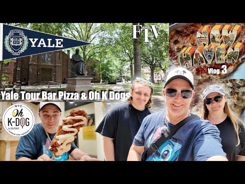 Yale University Tour 🎓 + Bar Pizza & Korean Hotdog Food Finds in New Haven!