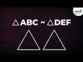 Exploring Triangle Similarity Concepts