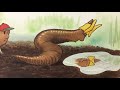 Exploring Life Through the Eyes of a Worm