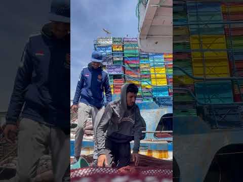 نهار في حياتي