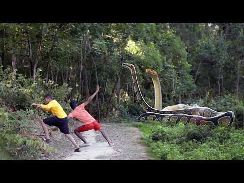 Anaconda Snake Attack Boys In Forest | An Anaconda Snake Attack Brief Story 3