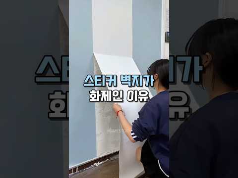 스티커 벽지가 화제인 이유 #인테리어 #방꾸미기