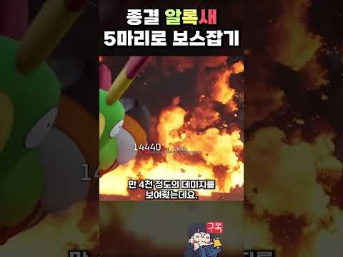 🐦 알록새의 폭발은 예술이다 🧨