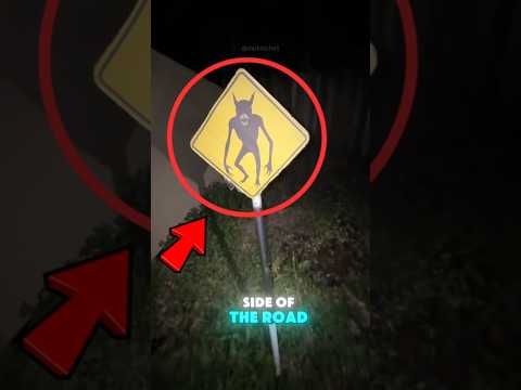 If You Ever See This Sign on the Road… RUN FAST❗️⚠️
