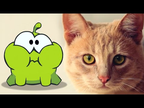 Om Nom and Cat's Funny Moments🐱🟩| Season 1 Episode | Learn with Om Nom