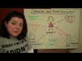 Character Analysis and Theme Development