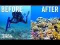 Great Barrier Reef Conservation Insights