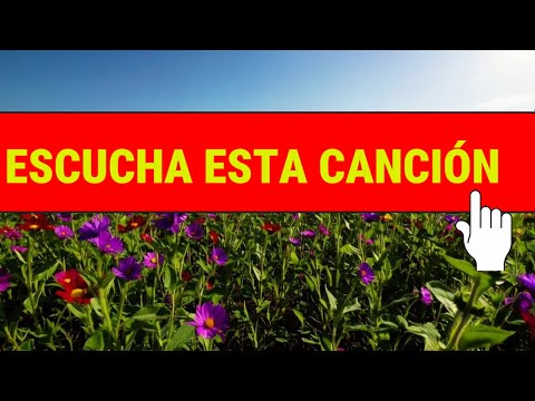 📩ESCUCHA ESTA CANCIÓN Y DEDÍCALA📩