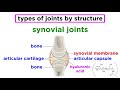 Understanding Joints in the Human Body