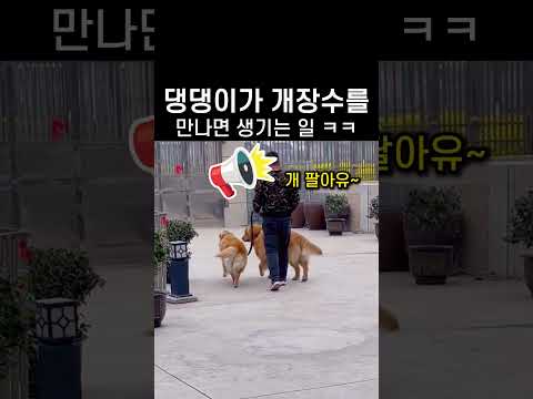 댕댕이가 개장수를 만나면 생기는 일 ㅋㅋ