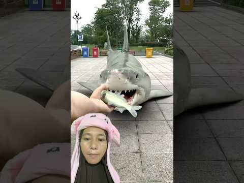 KAN UDAH KENYANG