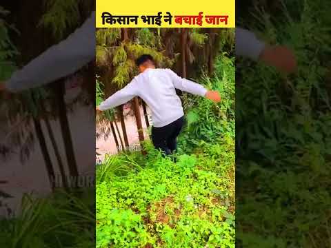 किसान भाई ने बचाई जान 🙏Moral story hindi | Short Motivational Stories | Hindi Kahaniya #shorts
