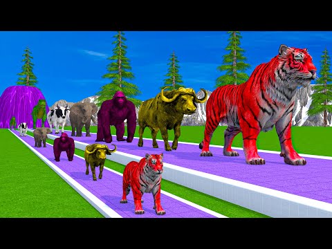 Paint & Animals Cow,Elephant,Puppy,Cat,Lion,Bear,Tiger, Fountain Crossing Transformation Cartoon