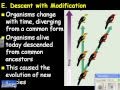 Evolution and Adaptation Concepts