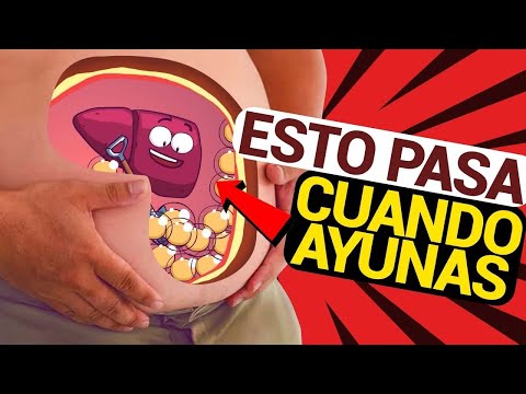 Tus Órganos Cuando Haces Ayuno Intermitente